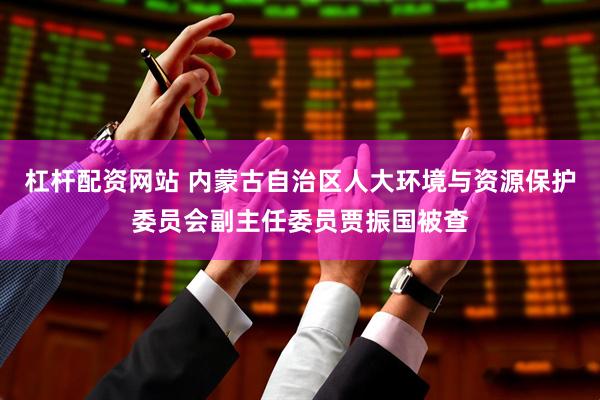 杠杆配资网站 内蒙古自治区人大环境与资源保护委员会副主任委员贾振国被查