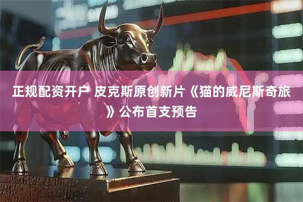 正规配资开户 皮克斯原创新片《猫的威尼斯奇旅》公布首支预告